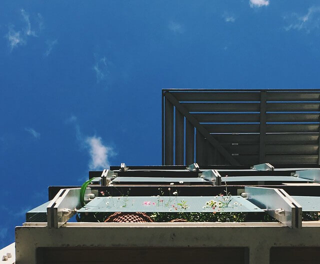 Flowers growing through a balcony in Bristol by Lyzi Unwin