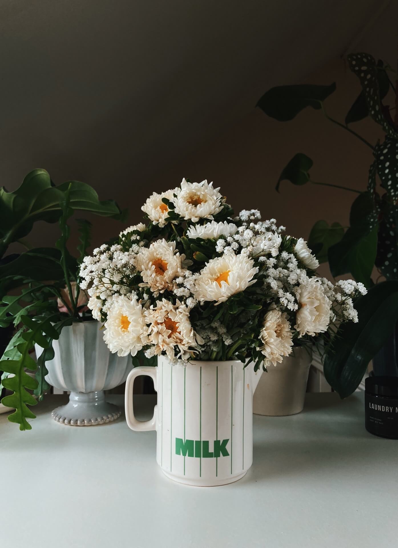 White flowers in my Bristol home during lockdown, in a vintage milk jug