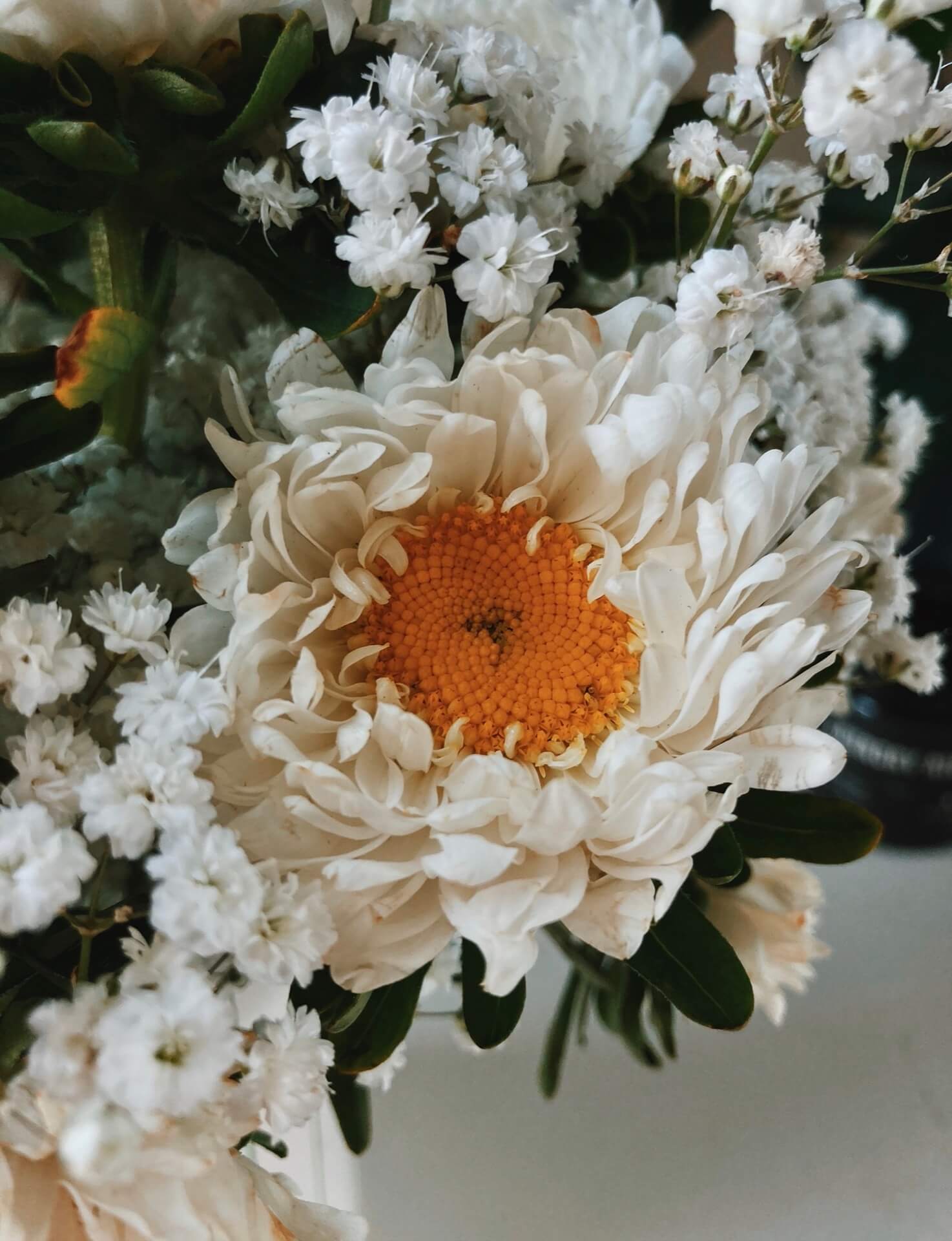 White flowers in my home during lockdown