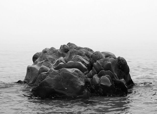 Soft rock formation in the sea at Blackpool Sands, Devon