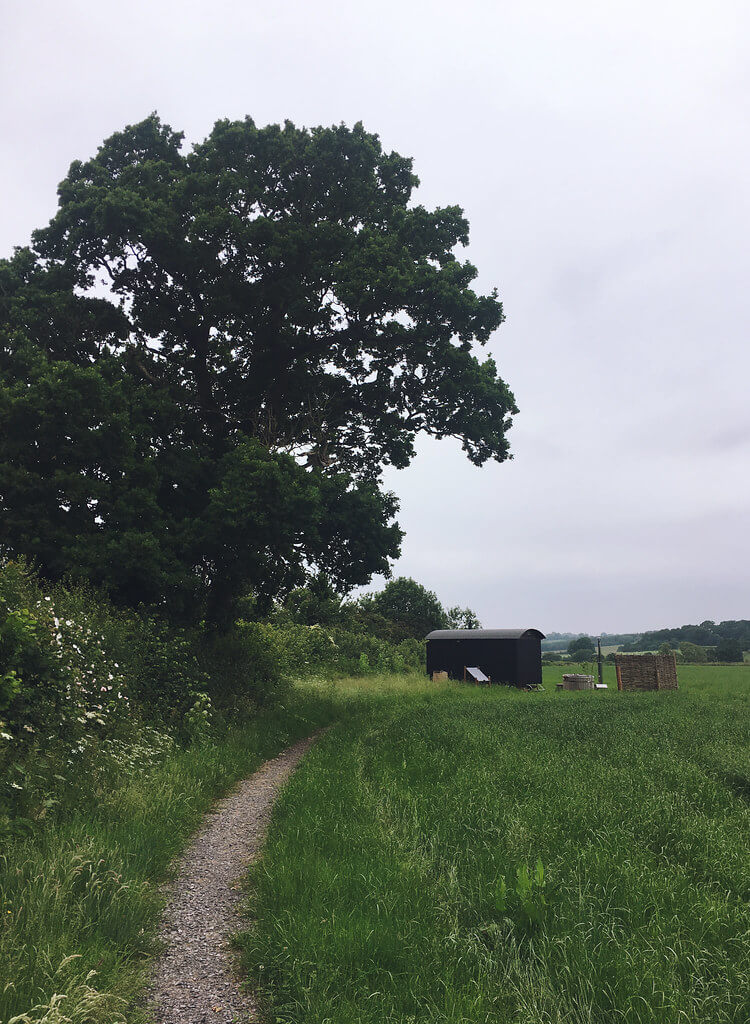 Stay in a shepherds hut in Dorset, a Plankbridge shepherds hut at colber farm