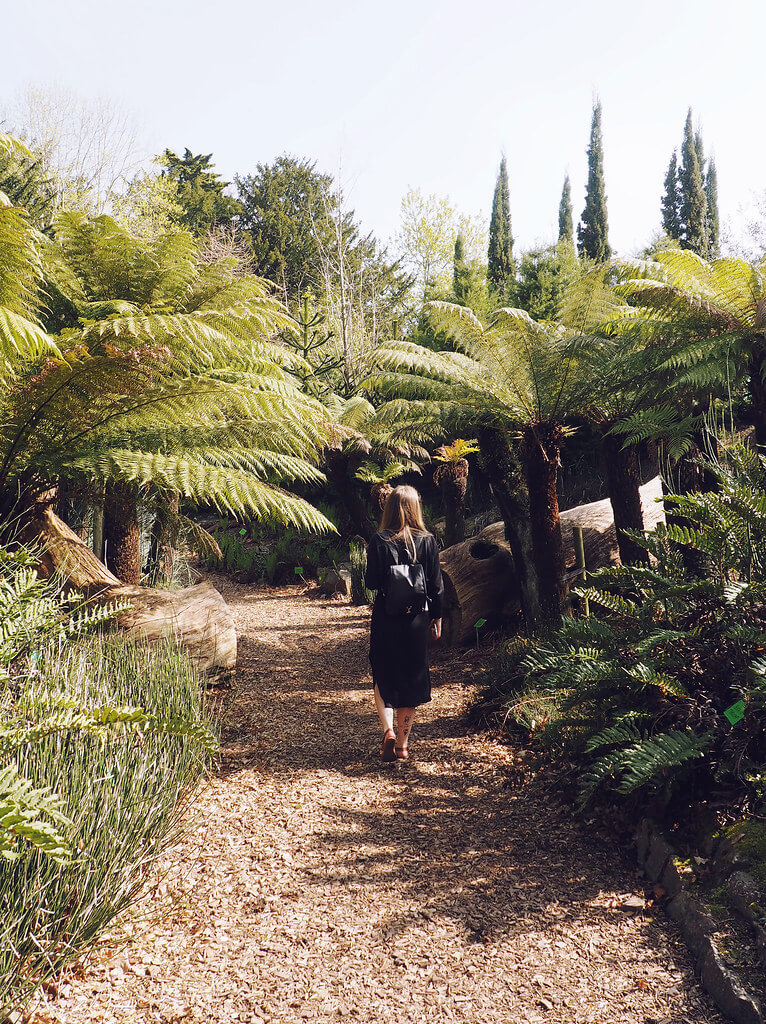 Lyzi walking among palm trees at Bristol Botanic Garden