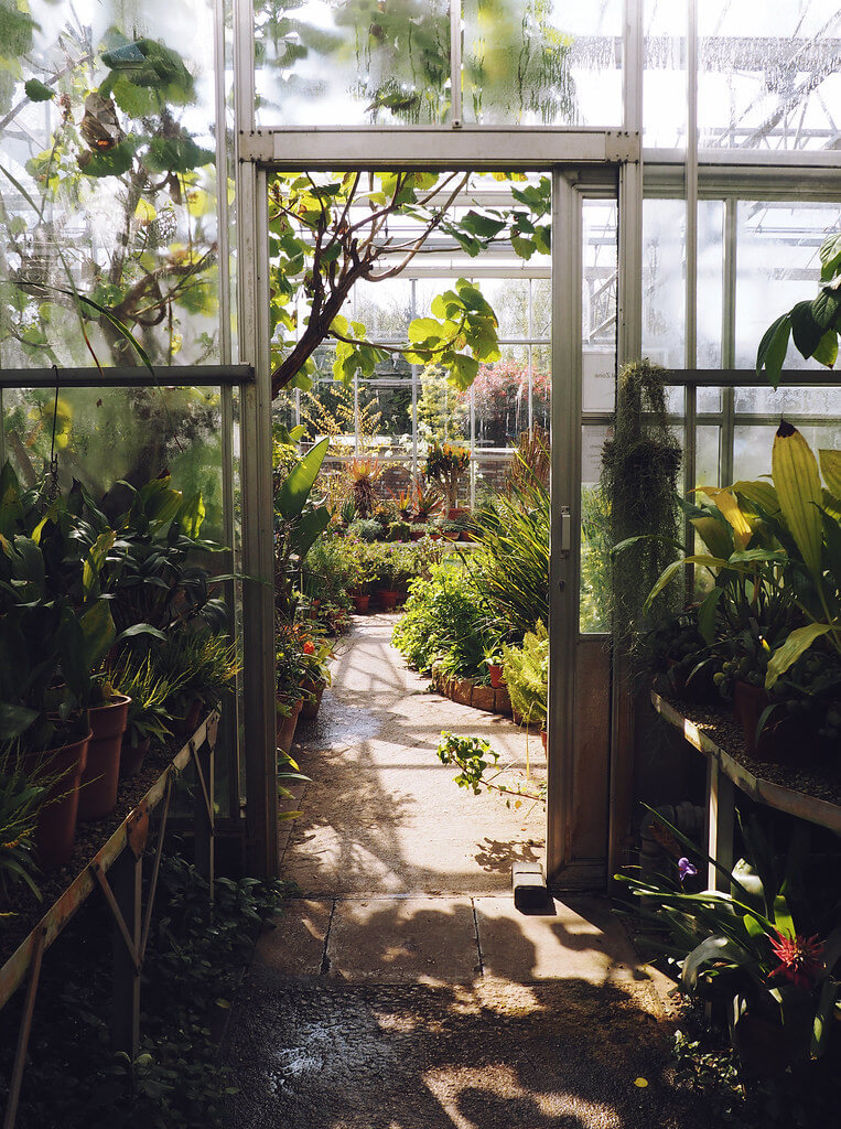 Greenhouse at Bristol Botanic Garden