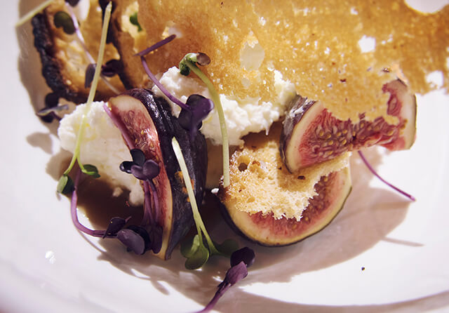 Fig and curds small plate at The Old Bookshop, Bristol