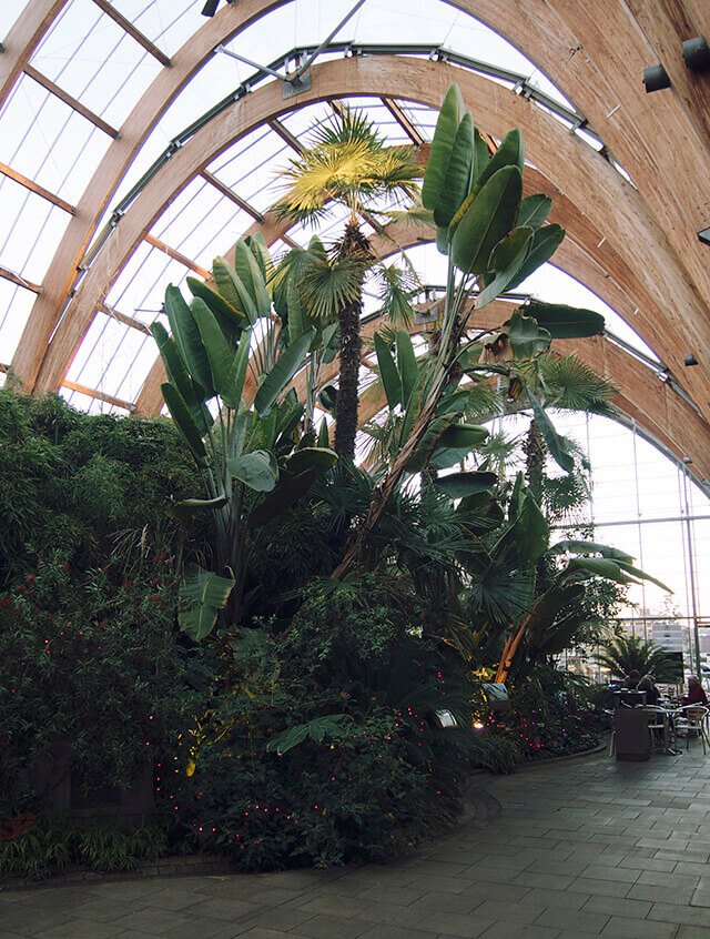 Sheffield winter gardens