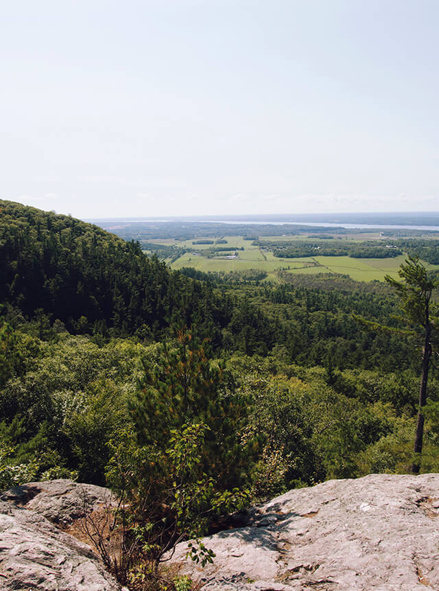 Gatineau Park viewpoint