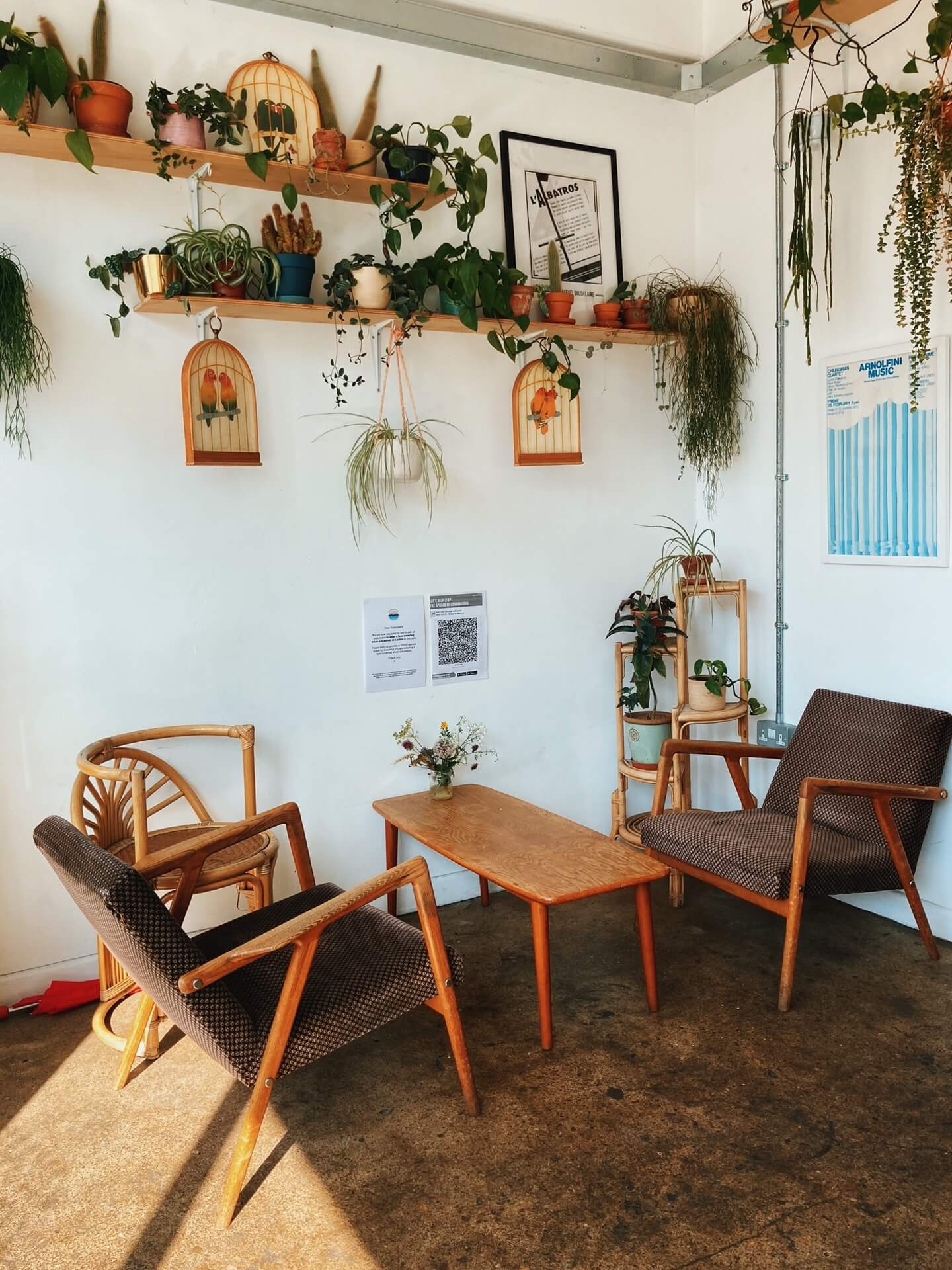 Vintage table and midcentury chairs, shelves with plants and prints in Albatross Cafe, Bristol