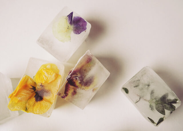 Ice cubes with flowers and herbs