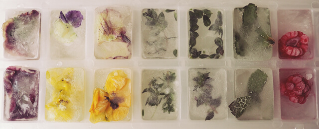 Ice cubes with flowers and herbs and raspberries