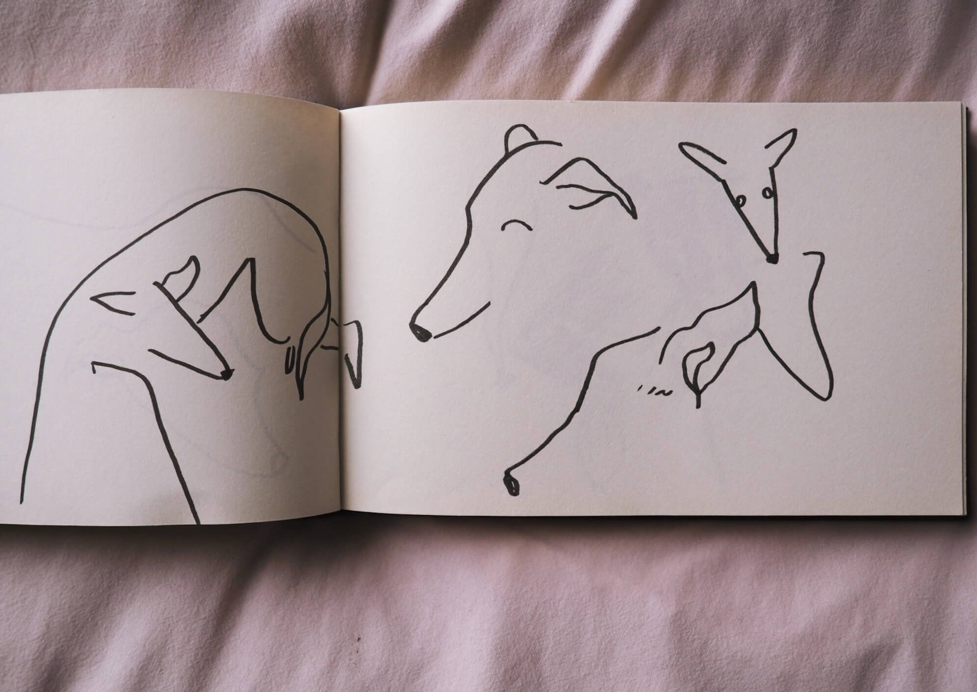 Simplified bold line drawings of a dog