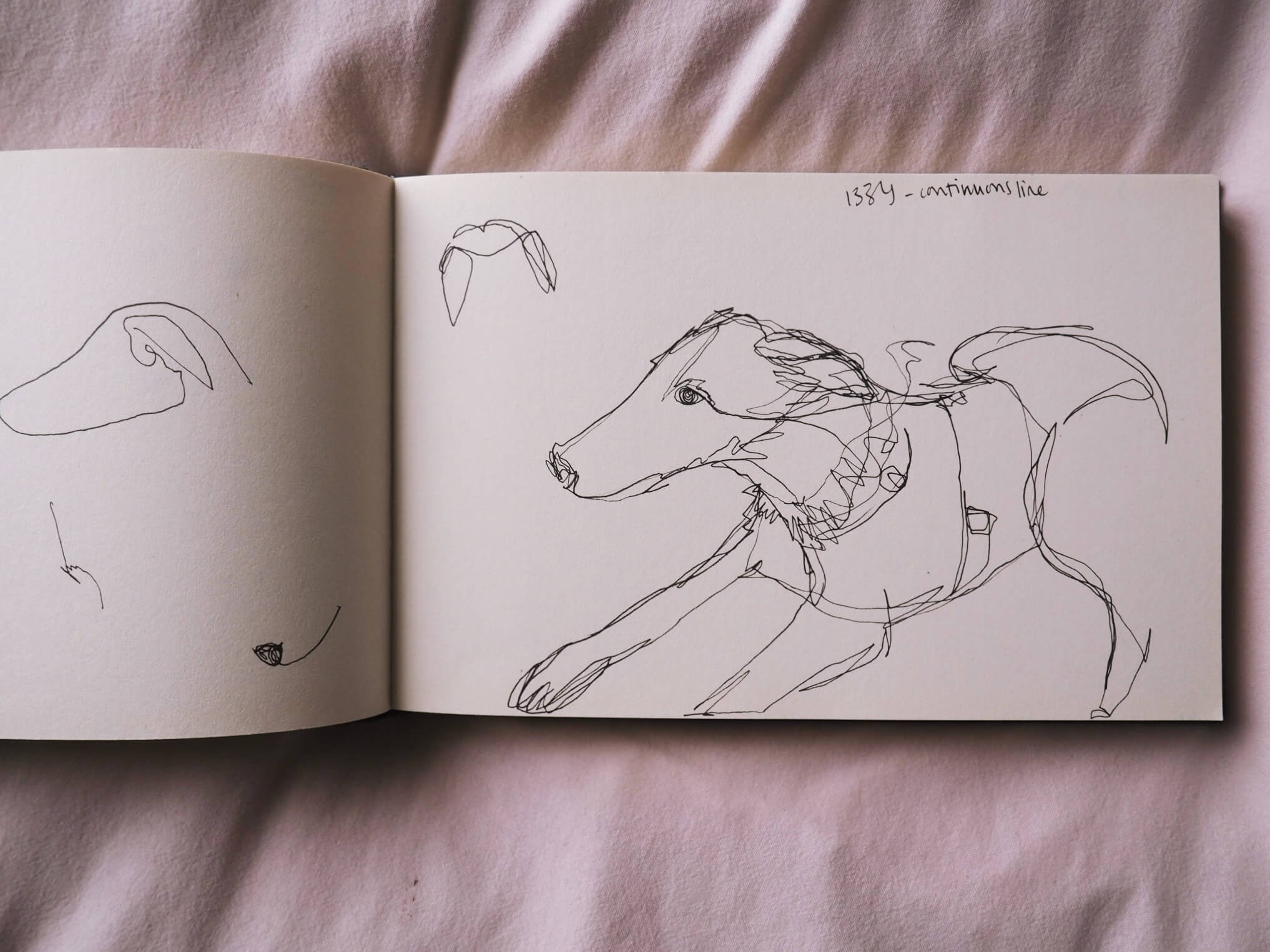 Continuous line drawing of a dog