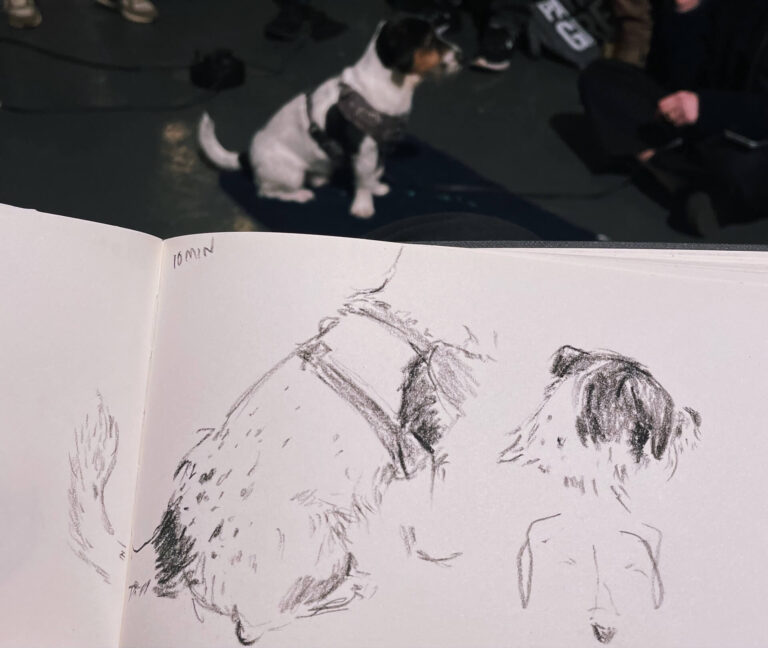 Photo of a jack russell called Oscar and drawings of him at Dog Life Drawing in Bristol